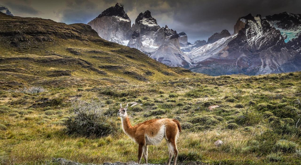 Rio Serrano Hotel + Spa Torres del Paine National Park Екстер'єр фото